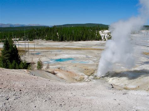 Active, dormant, and extinct: Clarifying confusing classifications.